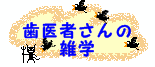 どれだけ知ってる？歯医者さんの雑学